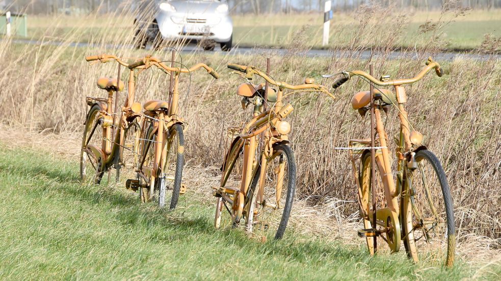 Als „Mahnmal“ für den von ihnen geforderten Radweg haben Schoonorther Bürger 2022 entlang der Landesstraße 4 orange lackierte alte Räder aufgestellt. Foto: Thomas Dirks