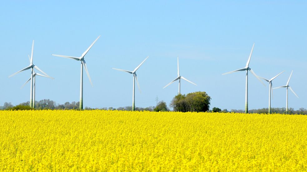 Strahlende Aussichten: Weitere Windkraftanlagen bescheren im Brookmerland zusätzliche Einnahmen. Foto: Thomas Dirks
