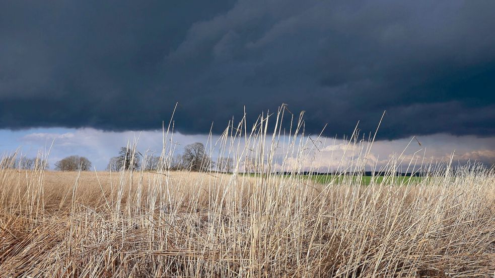 Gewitterwolken ziehen über ein Feld: Das Wetter am Abend ist durchwachsen. Foto: Karl-Josef Hildenbrand/dpa