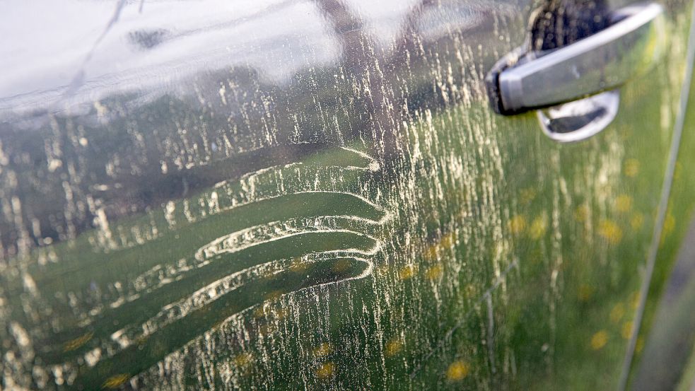 Pollenstaub auf dem Lack ist nicht nur lästig, viele Autofahrer fürchten bleibende Schäden. Foto: IMAGO/Pond5 Images