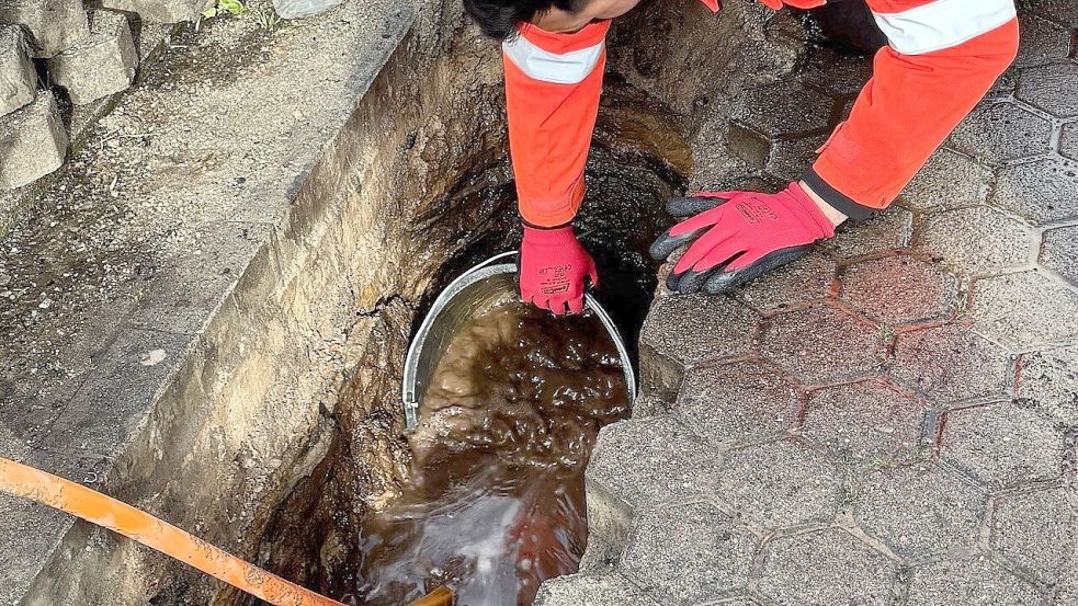 Schon kurz nachdem die Grube ausgehoben ist, steht sie voller Wasser. Das erschwert die Arbeiten. Foto: Holger Janssen