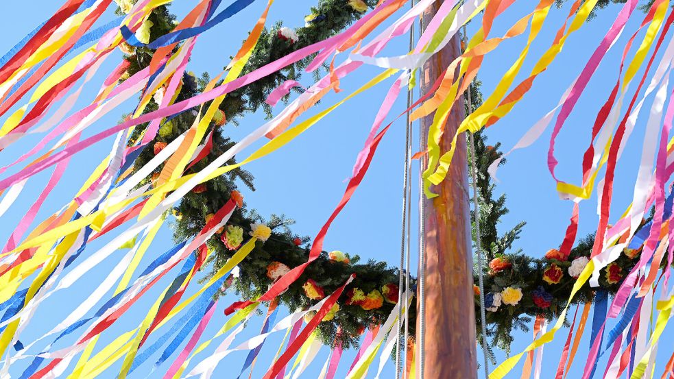 In Wallinghausen wandert der Maibaum an einen anderen Ort. Foto: DPA