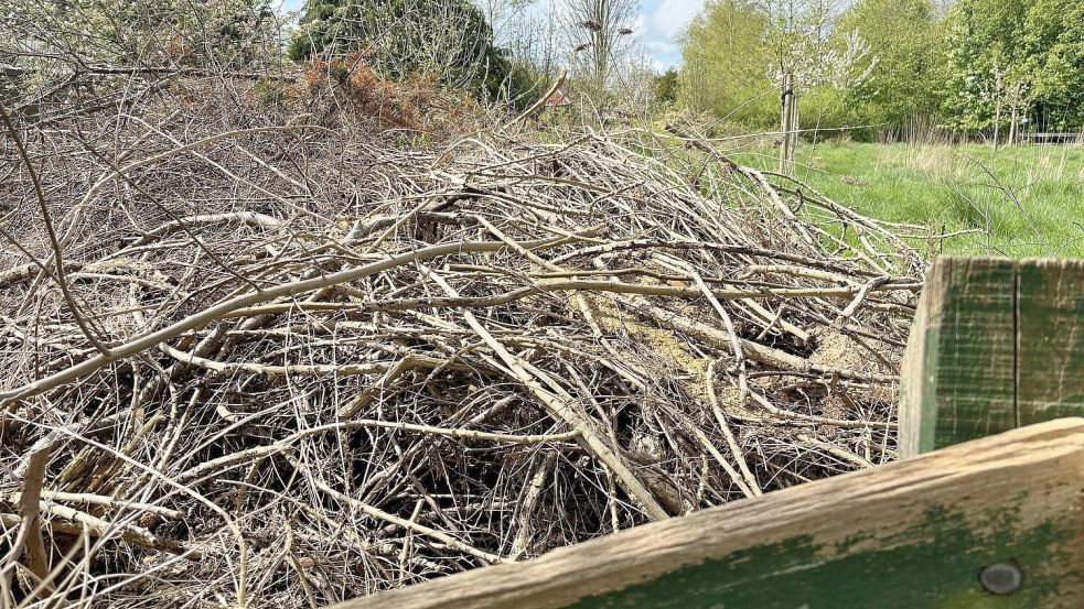 Kubikmeterweise lagern Sträucher und andere Gartenabfälle auf der Streuobstwiese am Schleusenweg. Foto: Holger Janssen