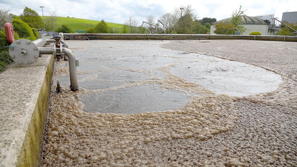 Auch die Belebungsbecken sollen in den kommenden Jahren saniert und erweitert werden. Foto: Romuald Banik