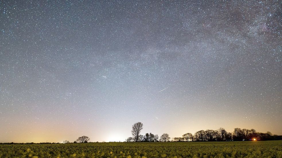 Der Sternenhimmel leuchtet über einem Rapsfeld in Schleswig-Holstein. Foto: Daniel Reinhardt/dpa