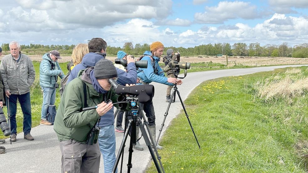 Mit Ferngläsern und Spektiven beobachteten die Teilnehmer die Wiesenvögel. Foto: Holger Janssen