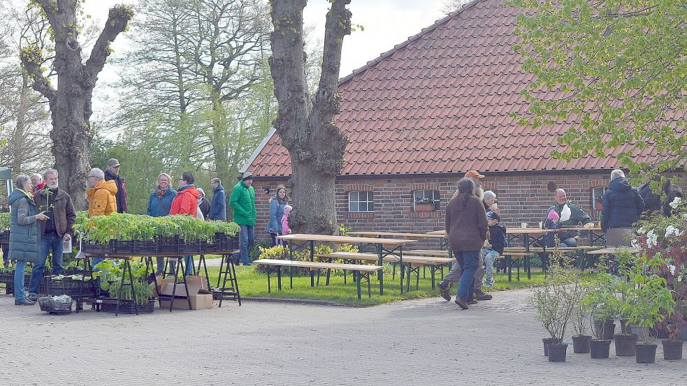 Kaltes, aber sonniges Wetter erwartete die Besucher in Lübbertsfehn. Foto: Gerd-Anold Ubben