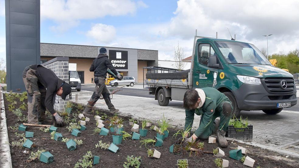 Gärtner bepflanzten am Wochenende die Beete zwischen den Parkplätzen. Foto: Thomas Dirks