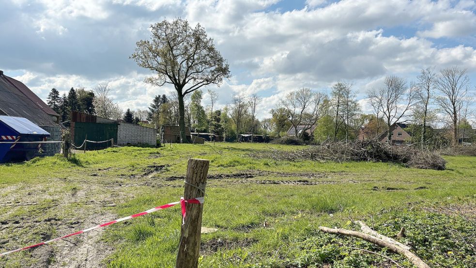 Der Baum, der inmitten der Fläche aufragt, soll erhalten bleiben. Foto: Christin Wetzel