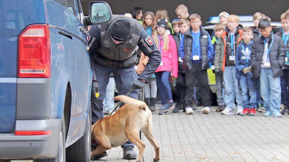 Diensthund Habbo ist darauf trainiert, Rauschgift zu finden. Foto: Heino Hermanns