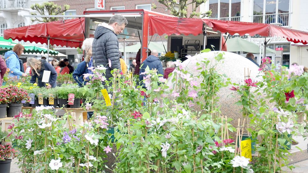 Rund 20 Aussteller werden ihre Waren beim Geranienmarkt präsentieren. Foto: Kim Hüsing