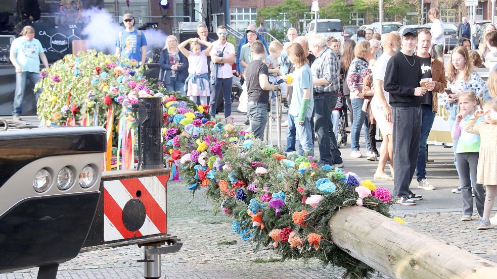 Über und über mit Rosen geschmückt wartet der Baum auf den großen Moment. Foto: Karin Böhmer