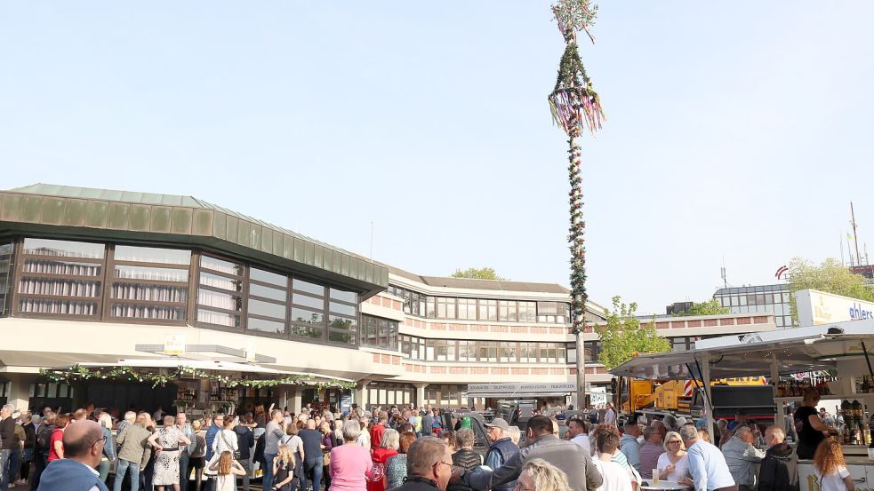 Der Baum steht in diesem Jahr direkt am Auricher Rathaus. Foto: Karin Böhmer