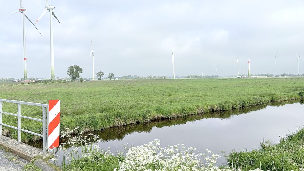 Die Niederung rund um die Blitz in der Gemeinde Ihlow ist, trotz des großen Windparks, laut Bürgerinitiative ein bedeutendes Vogelbrutgebiet.Foto: Aiko Recke