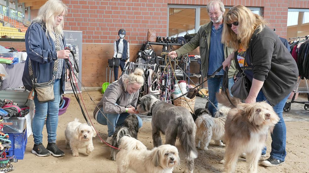 Heide Gaytz (rechts) mit einem rumänischen Straßenhund. Knieend: Bianca Koschollek vom Verein „Best Buddies“. Foto: Helmut Vortanz