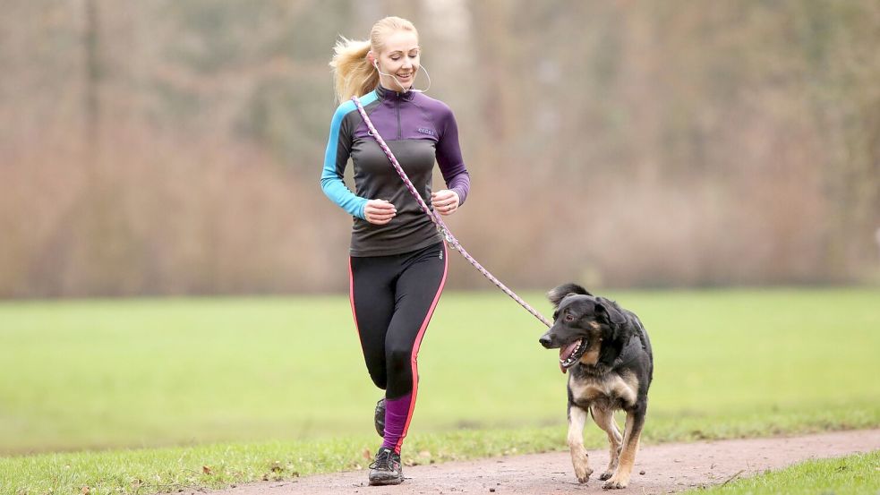 Gutes Zeichen: Der Hund läuft fröhlich voraus. Foto: Tobias Hase/dpa-tmn