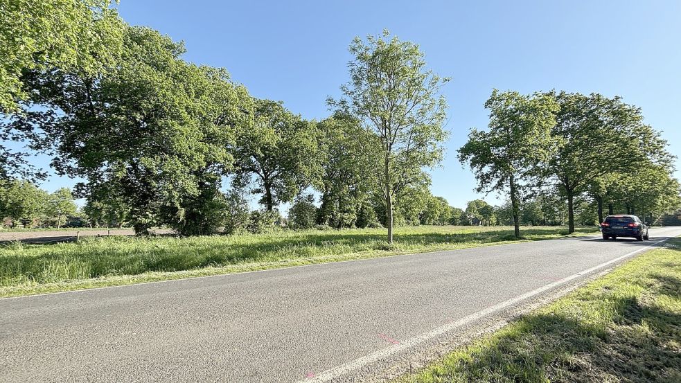 An der Westersander Straße hin zur Schirumer Straße befindet sich das Grundstück, auf dem das neue Feuerwehrhaus gebaut werden soll. Foto: Christin Wetzel