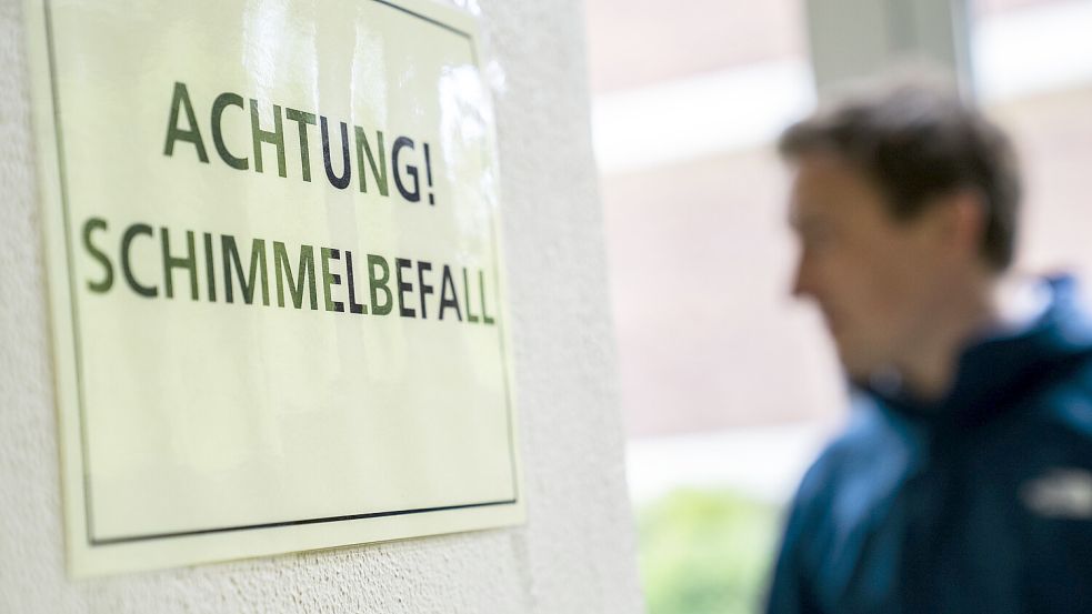 Einige Polizeigebäude in Norden haben mit Schimmelbefall zu kämpfen. Foto: privat