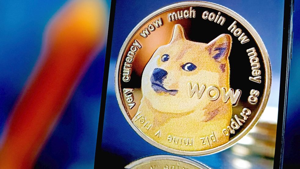 Die Hündin Kabosu wurde als Gesicht einer Kryptowährung zur Internet-Sensation. Foto: IMAGO/CFOTO