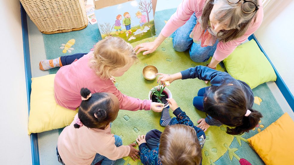 Kinder untersuchen gemeinsam mit einer Erzieherin eine Blume in einer Kita. Foto: Bernd Thissen/DPA