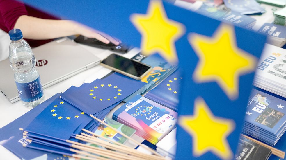 Europawahl Foto: dpa