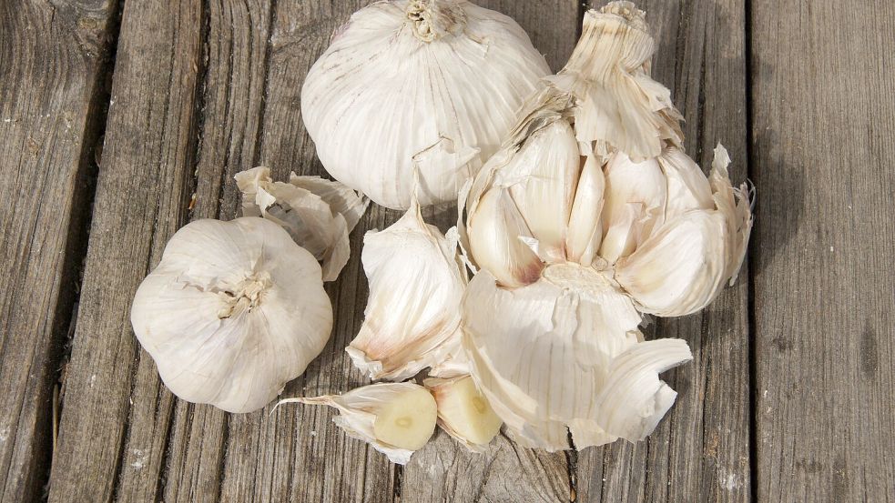 Vielen schmeckt Knoblauch viel zu gut, um darauf zu verzichten. Foto: IMAGO / Zoonar