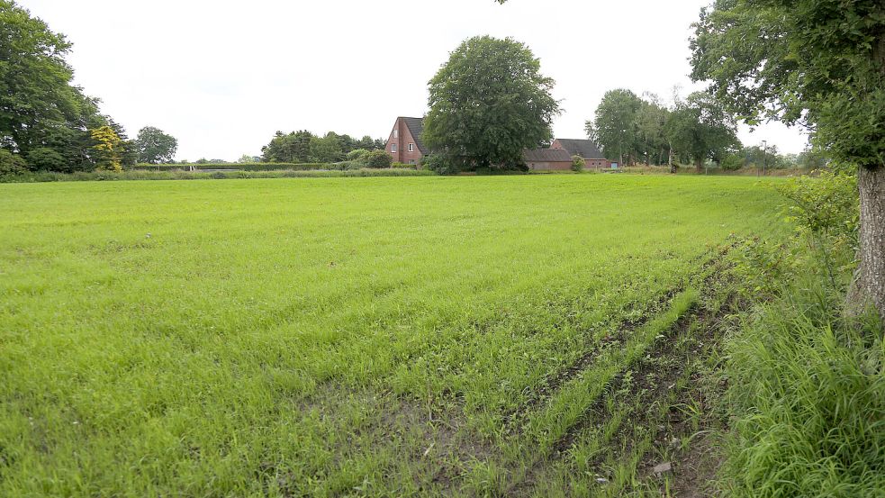 An der Moordorfer Straße in Tannenhausen ist ein Solarpark geplant. Foto: Romuald Banik