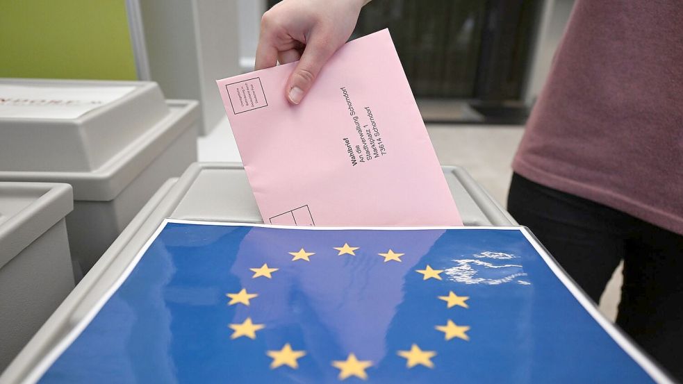 Nach der Europawahl 2024: Die AfD verzeichnet auch bei der Jugend Wahlerfolge. Foto: Bernd Weißbrod/dpa/Symbolbild