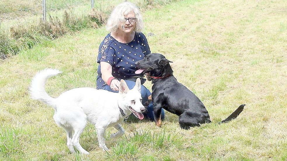 Hundetrainerin und Hundepsychologin Andrea Lübke mit zwei Hunden auf dem Gelände „Lebenswert“. Foto: Gerd-Arnold Ubben