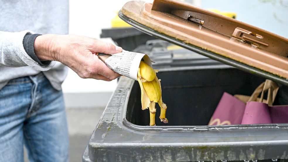 Gehört Zeitungspapier mit in die Biotonne? Foto: dpa/Felix Kästle