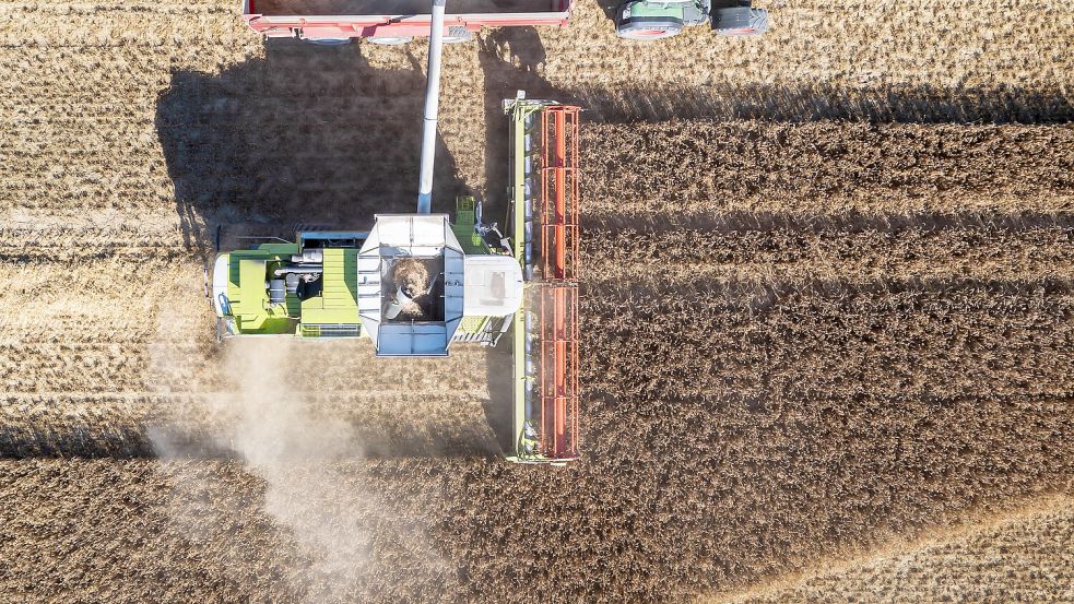 Die Getreideernte stellt Deutschlands Bauern in diesem Jahr nicht zufrieden. Foto: IMAGO/Arnulf Hettrich