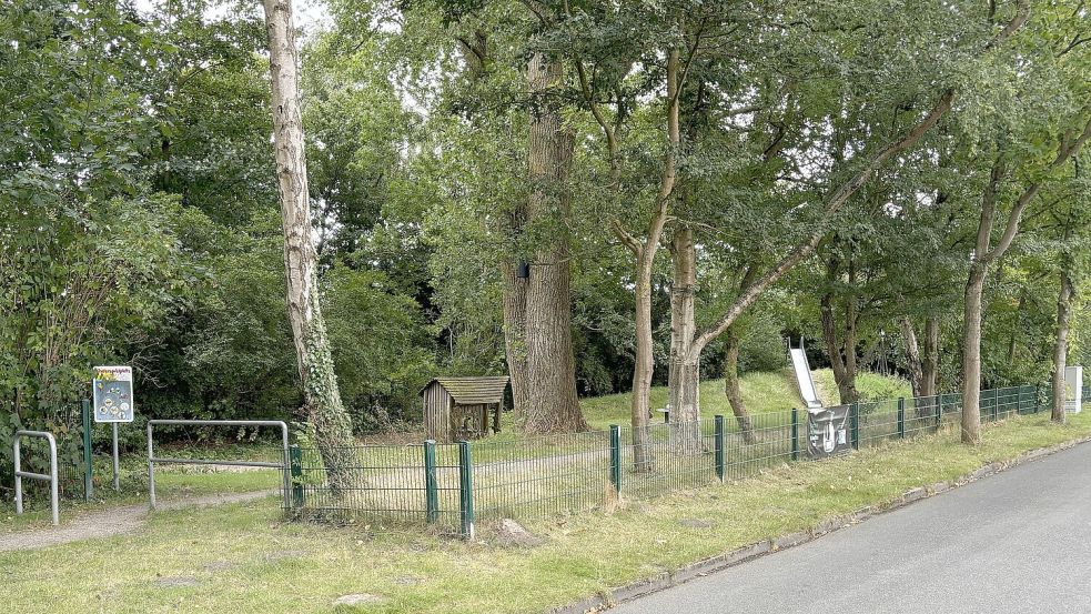 Radikale Veränderungen sind für den Spielplatz Danziger Straße geplant. Hier soll ein Mehrgenerationen-Spielplatz entstehen. Foto: Rebecca Kresse
