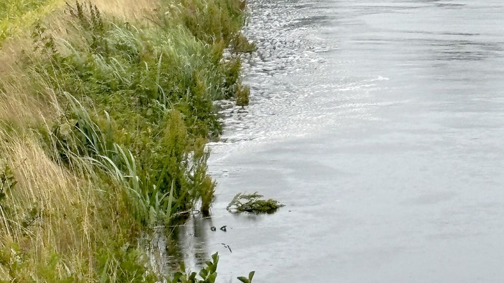 Im Ringkanal konnte man das Wasser am Samstagabend deutlich strömen sehen. Foto: Karin Böhmer