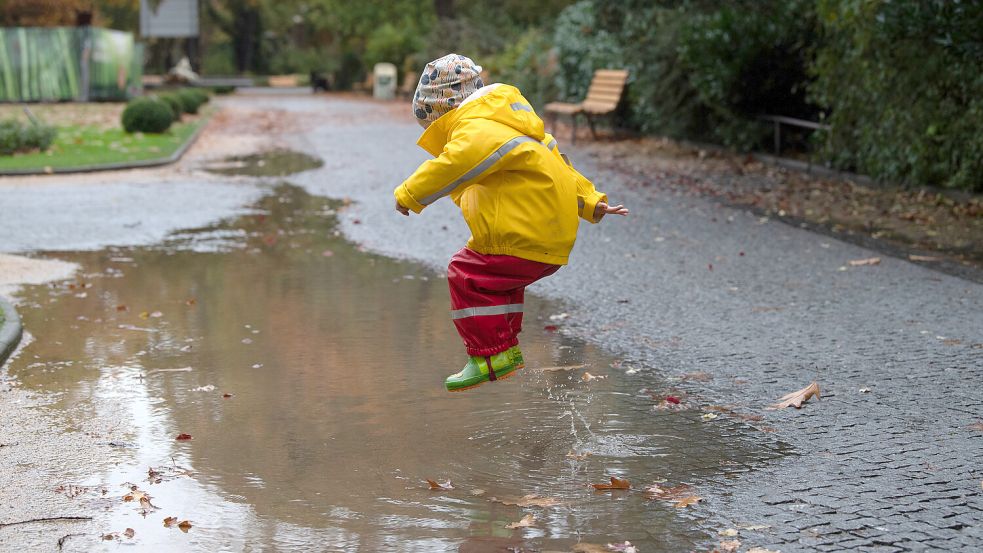 Pfützen sind das Zuhause für tausende Lebewesen Foto: dpa/Paul Zinken