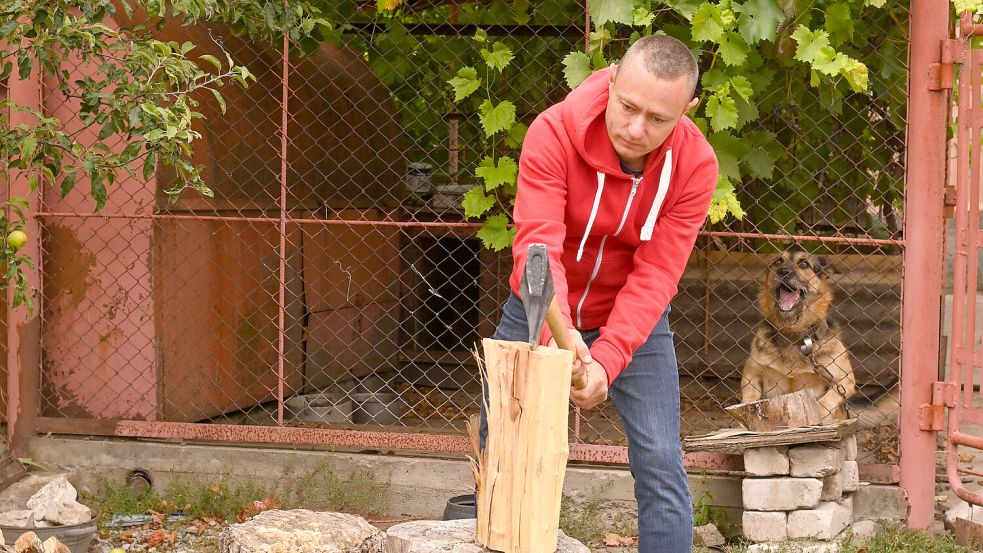 Wer sein Brennholz selbst schlägt und spaltet, der kann sehr viel Geld sparen. Foto: Imago/Depositphotos