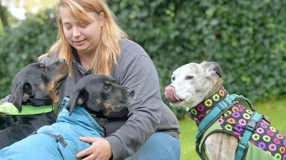 Die Hunde von Sabrina Driftmann sind sehr anhänglich.