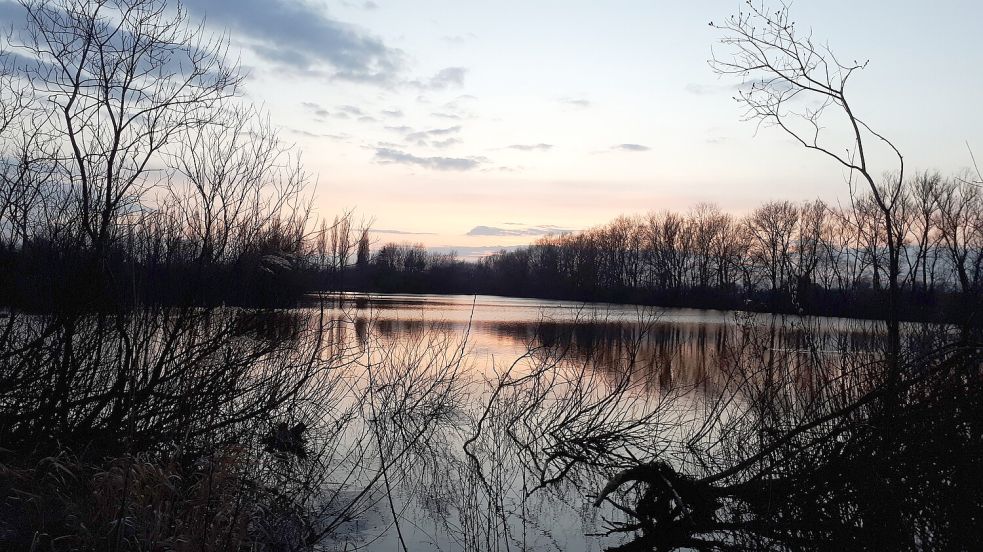 In der Dämmerung sind am Tjücher Moorthun in Marienhafe Fledermäuse aktiv. Sie könnten durch die nördlich des Baggersees (im Hintergrund rechts) geplante Sportanlage beeinträchtigt werden, befürchten Naturschützer. Foto: Sarah Dirks