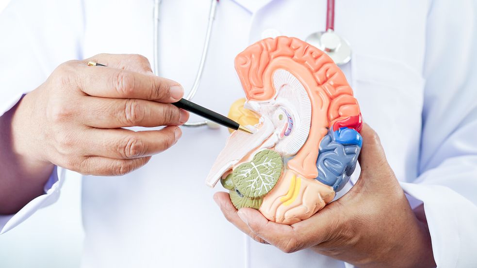 Demenz: Zwar ist sie nicht heilbar, doch durch die Berücksichtigung von diesen Faktoren kann man das persönliche Risiko senken. Foto: IMAGO/Panthermedia