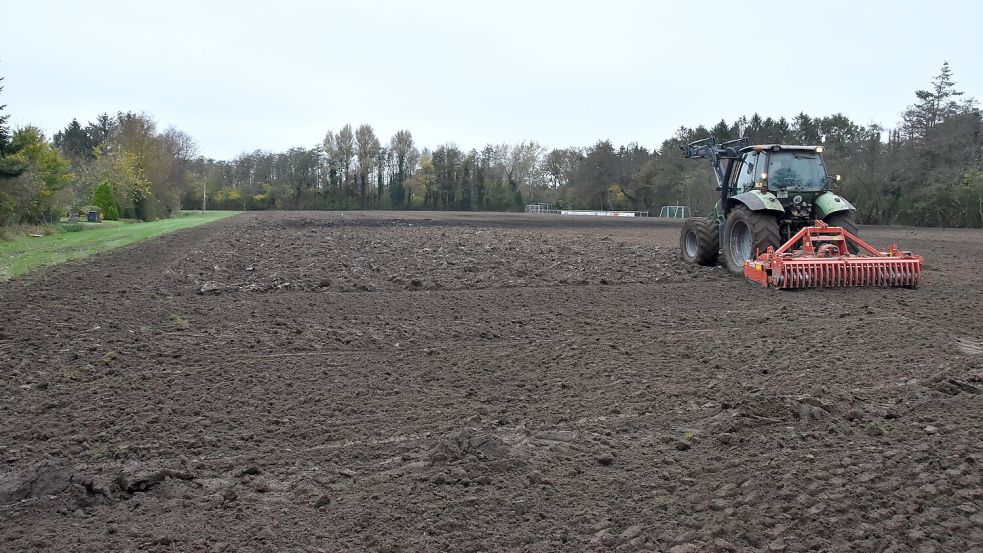 Vom Rasen blieb nur ein schmaler Streifen. Groß ist die gepflügte Fläche. Foto: Thomas Dirks