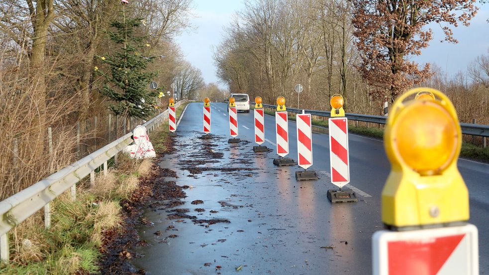 Direkt an der Leitplanke steht der Weihnachtsbaum mit dem Wunschzettel. Foto: Romuald Banik