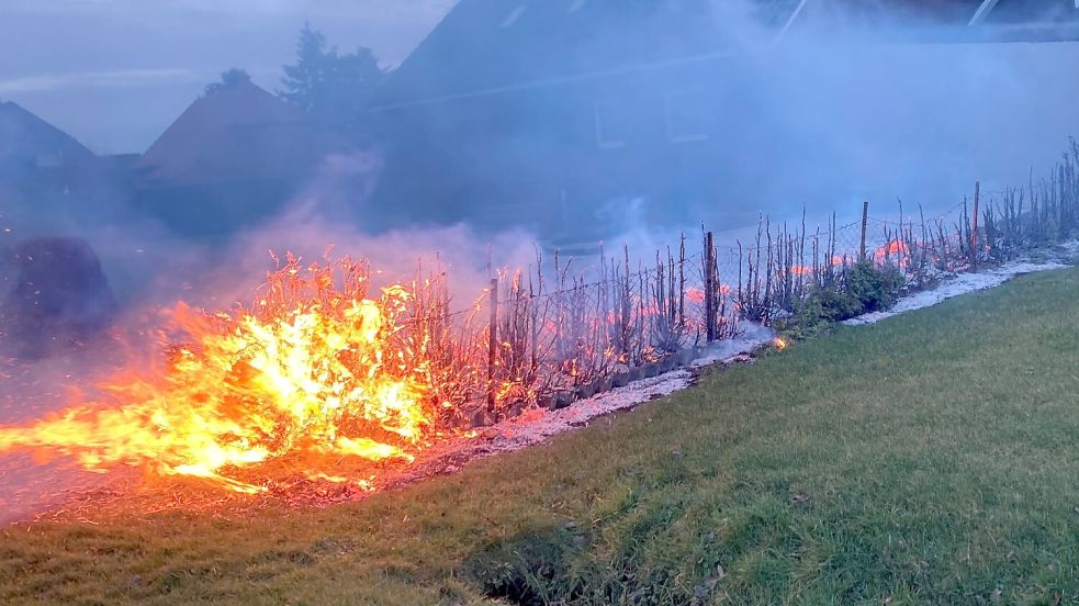 2023 geriet kurz vor dem Jahreswechsel eine Hecke am Kanalweg in Moordorf in Brand. Schnell kam der Verdacht auf, das Feuerwerkskörper die Ursache sein könnten. Foto: Holger Janssen