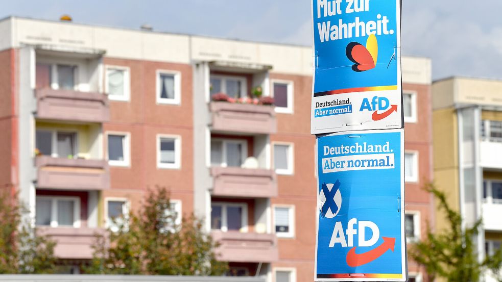 AfD Wahlplakate hängen an einem Laternenmast in einem städtischen Wohngebiet. Foto: dpa/Martin Schutt
