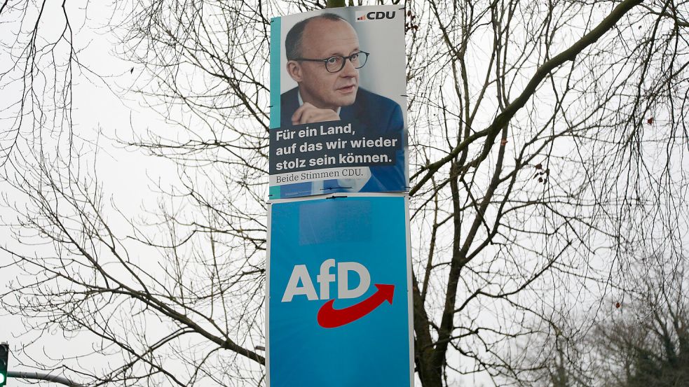 Maximal zwei Wahlplakate dürfen an einer Laterne angebracht werden. Foto: Mieke Matthes