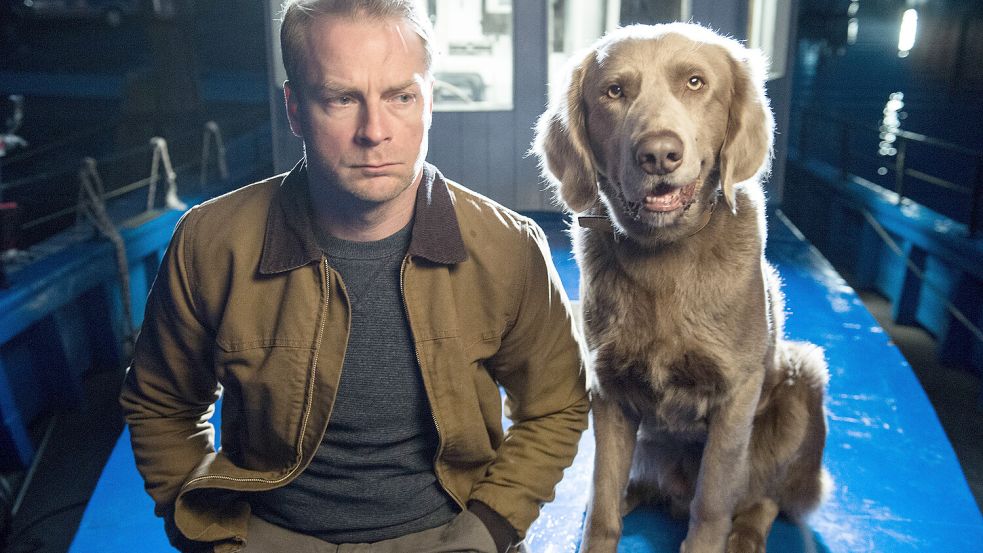 Viele „Nord bei Nordwest“-Fans halten Holly für den privaten Hund von Hinnerk Schönemann. Dabei sind sie nicht mal als Kollegen besonders eng. Foto: SWR/NDR/Degeto/Sandra Hoever