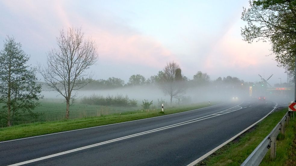 Ein Bild mit Symbolik: Am Tjücher Moortun in Marienhafe, wo die neue geplante Sportstätte entstehen soll, wabert Nebel auf die Bundesstraße. Die Gegner des Projekts fordern mehr Durchblick bezüglich der bisherigen Planung. Foto: privat