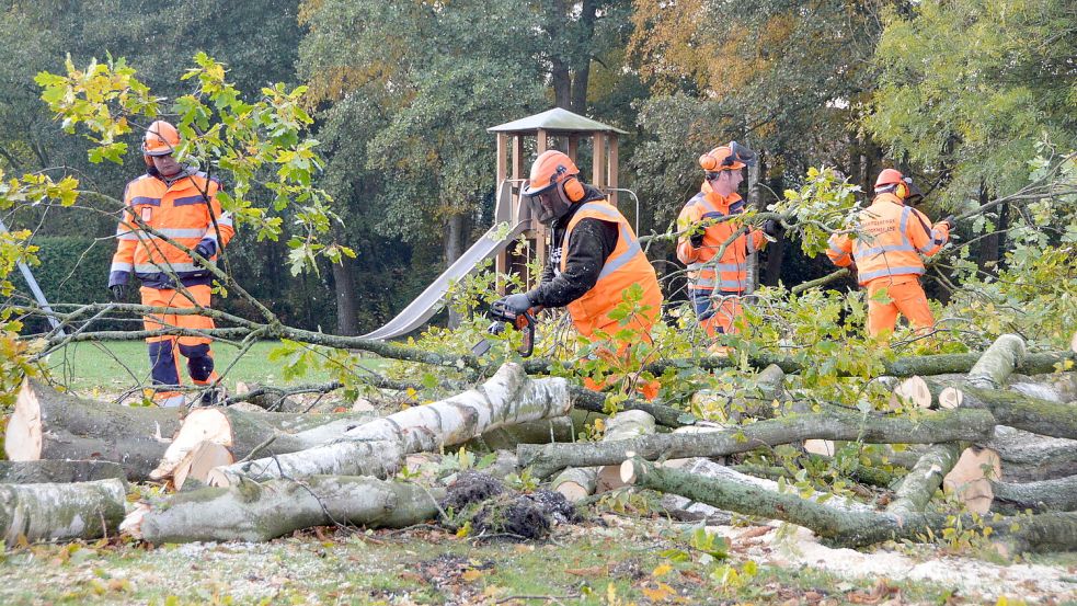 Auch Mitarbeiter des Brookmerlander Samtgemeindebauhofs fällen ab und an Bäume. Auf dem Spielplatz an der Poststraße in Rechtsupweg beseitigten sie 2018 mehrere Eichen und Birken für den Bau der neuen Kita. Foto: Thomas Dirks