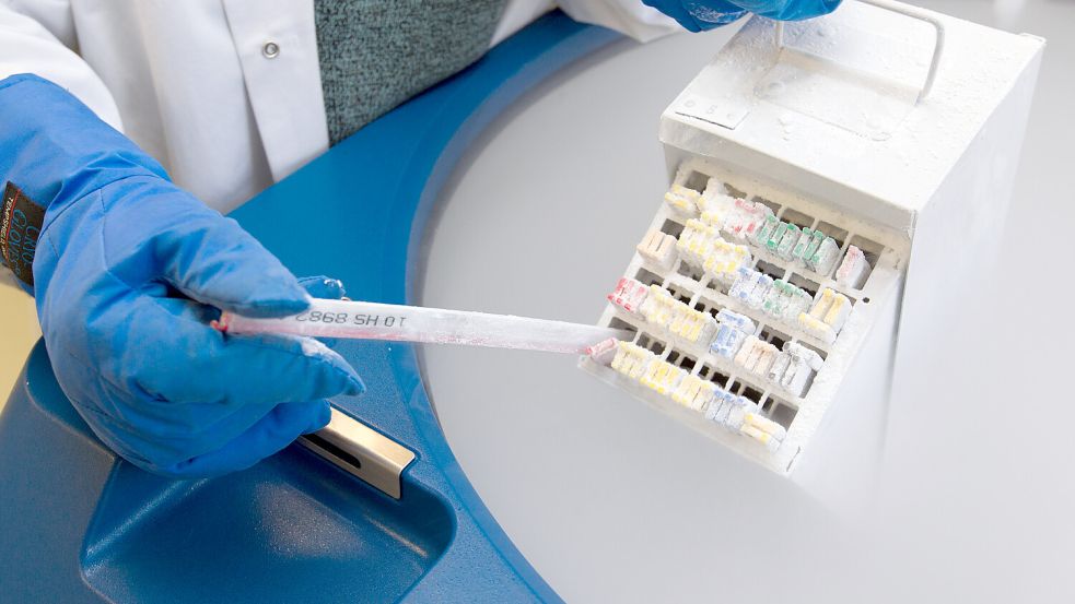 Allein in den Niederlanden ist der Spender der genetische Vater von 100 Kindern, dort darf er kein Sperma mehr spenden. Foto: dpa/Friso Gentsch