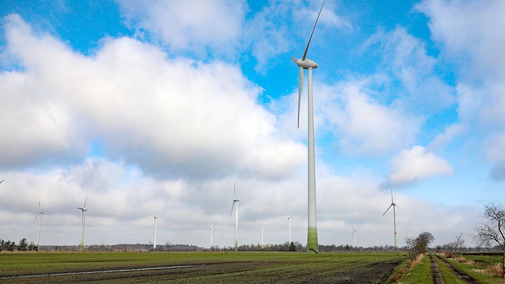 Im Bürgerwindpark Königsmoor soll ein Solarpark entstehen. Foto: Romuald Banik