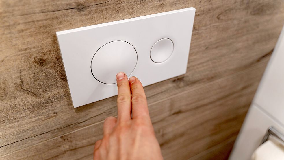 Kleine oder große Spülung? Die Spartaste soll beim Toilettengang Wasser einsparen. Foto: IMAGO/Bihlmayerfotografie