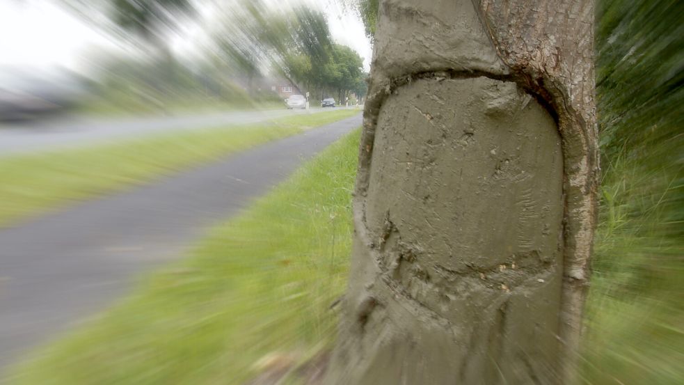 Mit einem Baum ist der 30-jährige Mann aus Südbrookmerland kollidiert. Foto: Holger Janssen